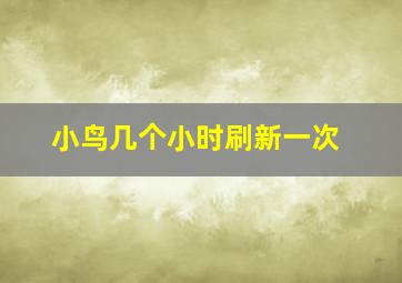 小鸟几个小时刷新一次