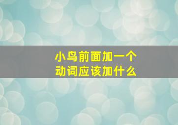 小鸟前面加一个动词应该加什么