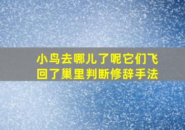 小鸟去哪儿了呢它们飞回了巢里判断修辞手法