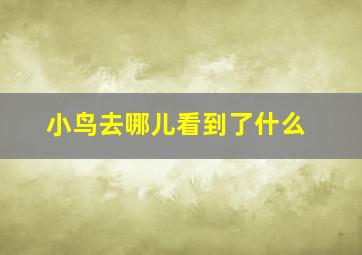 小鸟去哪儿看到了什么