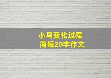 小鸟变化过程简短20字作文