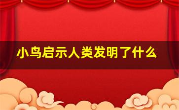 小鸟启示人类发明了什么