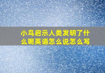 小鸟启示人类发明了什么呢英语怎么说怎么写