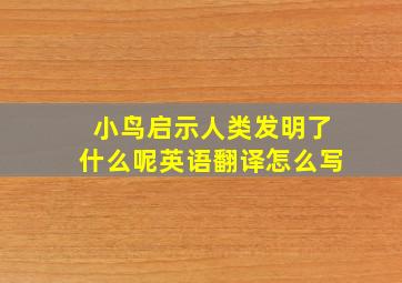 小鸟启示人类发明了什么呢英语翻译怎么写