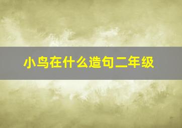 小鸟在什么造句二年级