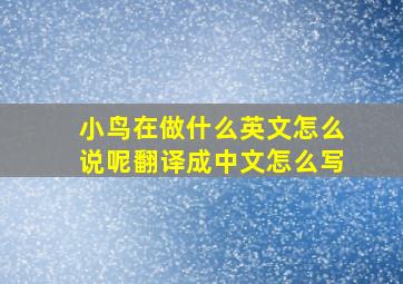 小鸟在做什么英文怎么说呢翻译成中文怎么写