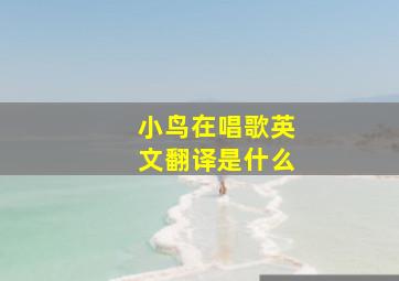 小鸟在唱歌英文翻译是什么