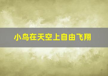 小鸟在天空上自由飞翔