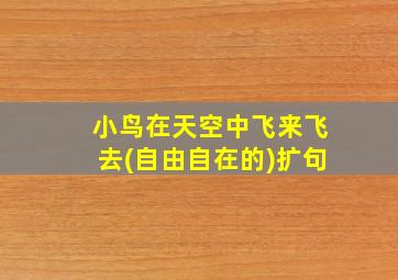 小鸟在天空中飞来飞去(自由自在的)扩句