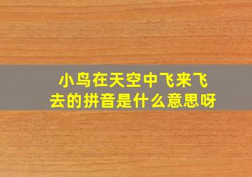 小鸟在天空中飞来飞去的拼音是什么意思呀