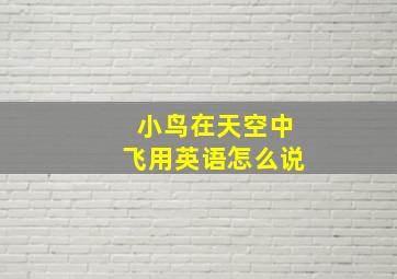 小鸟在天空中飞用英语怎么说