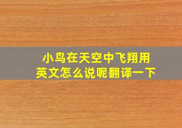 小鸟在天空中飞翔用英文怎么说呢翻译一下