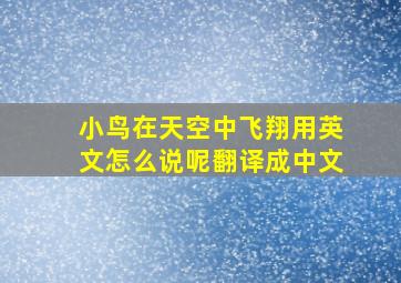 小鸟在天空中飞翔用英文怎么说呢翻译成中文