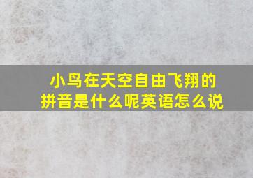 小鸟在天空自由飞翔的拼音是什么呢英语怎么说