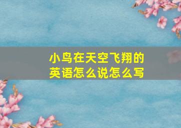 小鸟在天空飞翔的英语怎么说怎么写