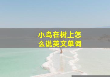 小鸟在树上怎么说英文单词