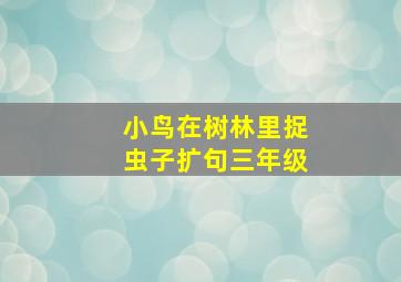 小鸟在树林里捉虫子扩句三年级