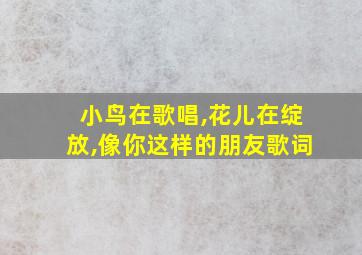 小鸟在歌唱,花儿在绽放,像你这样的朋友歌词