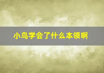 小鸟学会了什么本领啊