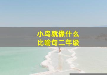 小鸟就像什么比喻句二年级