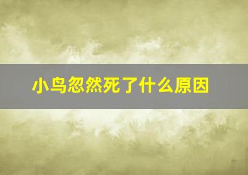 小鸟忽然死了什么原因