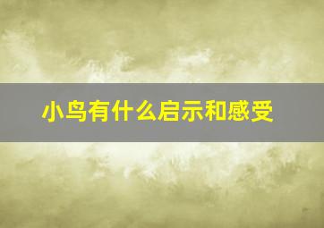 小鸟有什么启示和感受