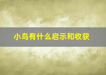 小鸟有什么启示和收获