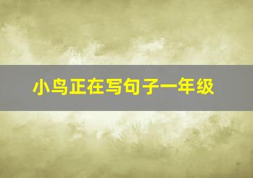 小鸟正在写句子一年级