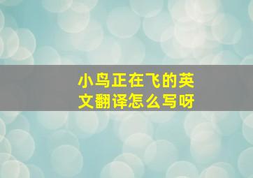 小鸟正在飞的英文翻译怎么写呀