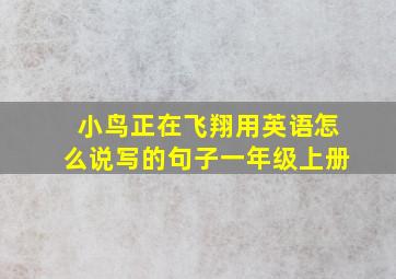 小鸟正在飞翔用英语怎么说写的句子一年级上册