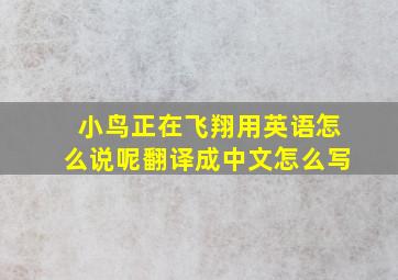 小鸟正在飞翔用英语怎么说呢翻译成中文怎么写