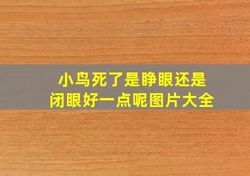 小鸟死了是睁眼还是闭眼好一点呢图片大全