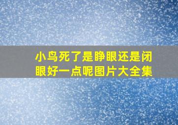 小鸟死了是睁眼还是闭眼好一点呢图片大全集