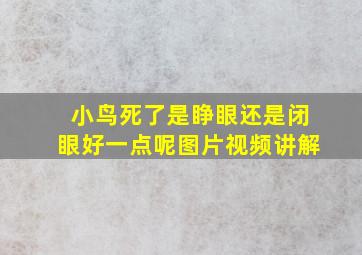 小鸟死了是睁眼还是闭眼好一点呢图片视频讲解