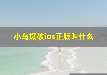 小鸟爆破ios正版叫什么