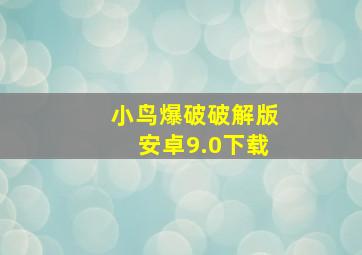 小鸟爆破破解版安卓9.0下载