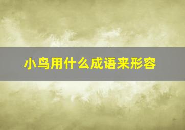 小鸟用什么成语来形容