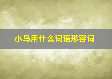 小鸟用什么词语形容词