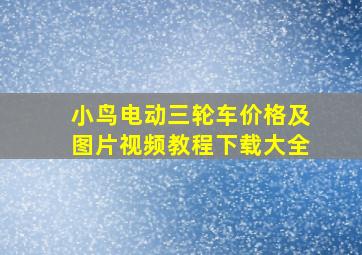 小鸟电动三轮车价格及图片视频教程下载大全