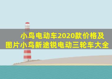 小鸟电动车2020款价格及图片小鸟新途锐电动三轮车大全