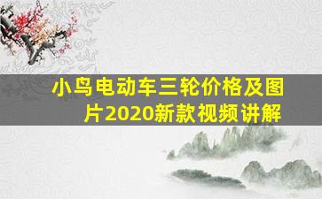 小鸟电动车三轮价格及图片2020新款视频讲解