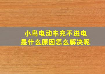 小鸟电动车充不进电是什么原因怎么解决呢