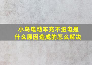 小鸟电动车充不进电是什么原因造成的怎么解决