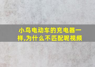 小鸟电动车的充电器一样,为什么不匹配呢视频