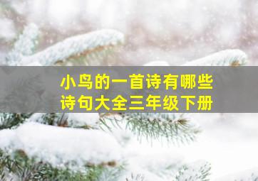 小鸟的一首诗有哪些诗句大全三年级下册