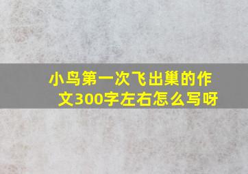 小鸟第一次飞出巢的作文300字左右怎么写呀