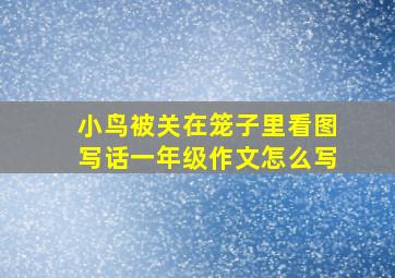 小鸟被关在笼子里看图写话一年级作文怎么写