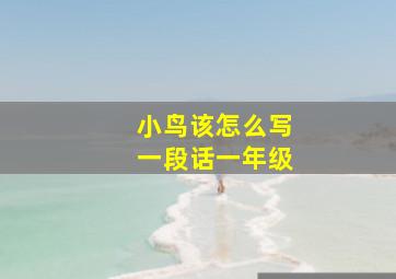 小鸟该怎么写一段话一年级