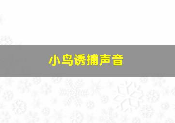 小鸟诱捕声音