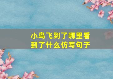 小鸟飞到了哪里看到了什么仿写句子